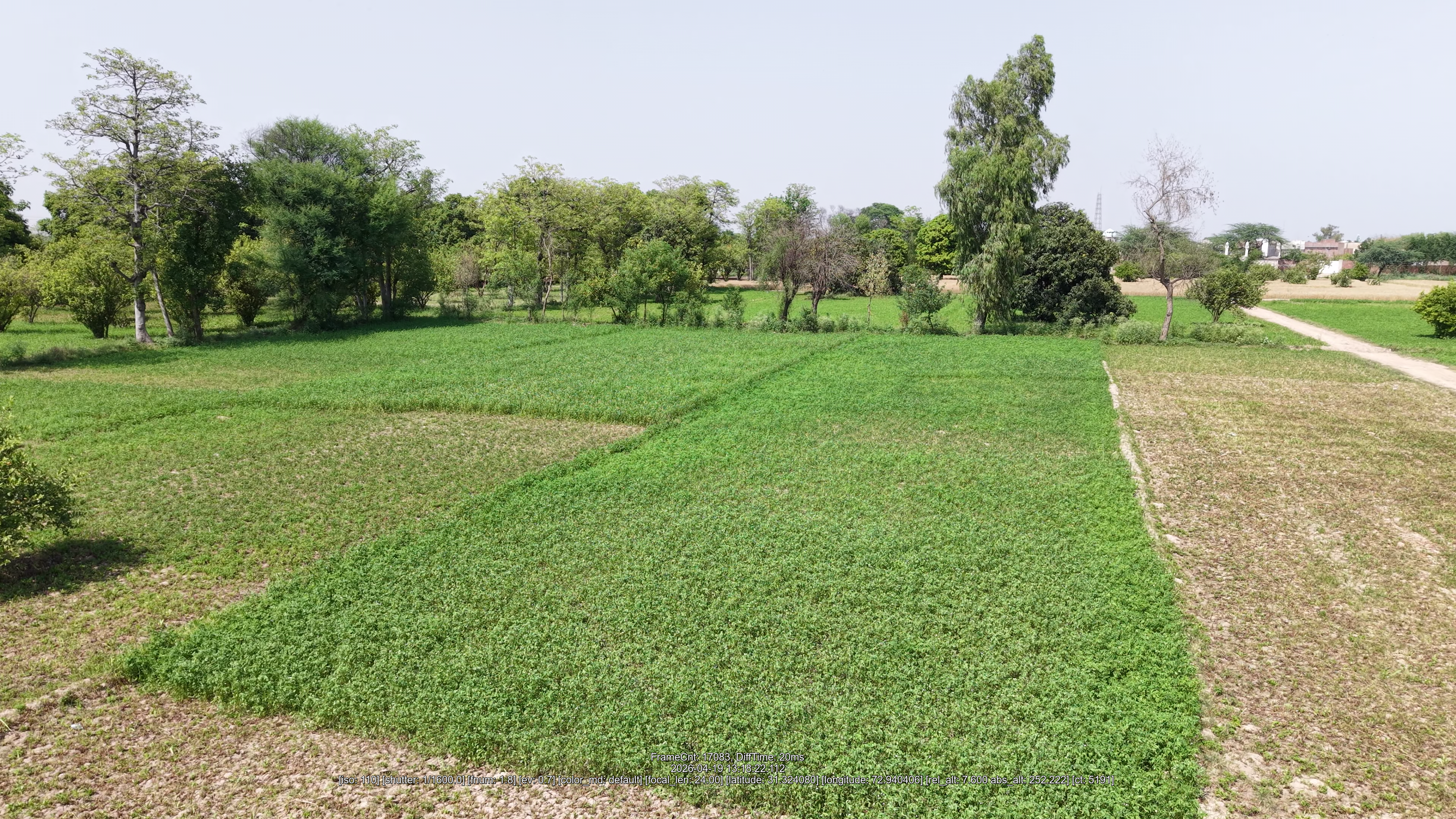 34 Acre Agriculture land For Sale Near Jaranwala Road And Satiana Road Faisalabad