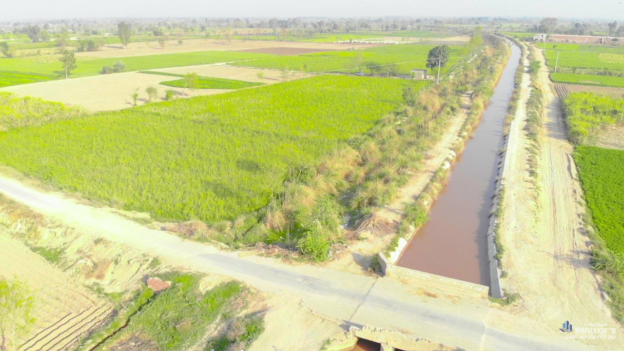 Agriculture land for sale in Faisalabad