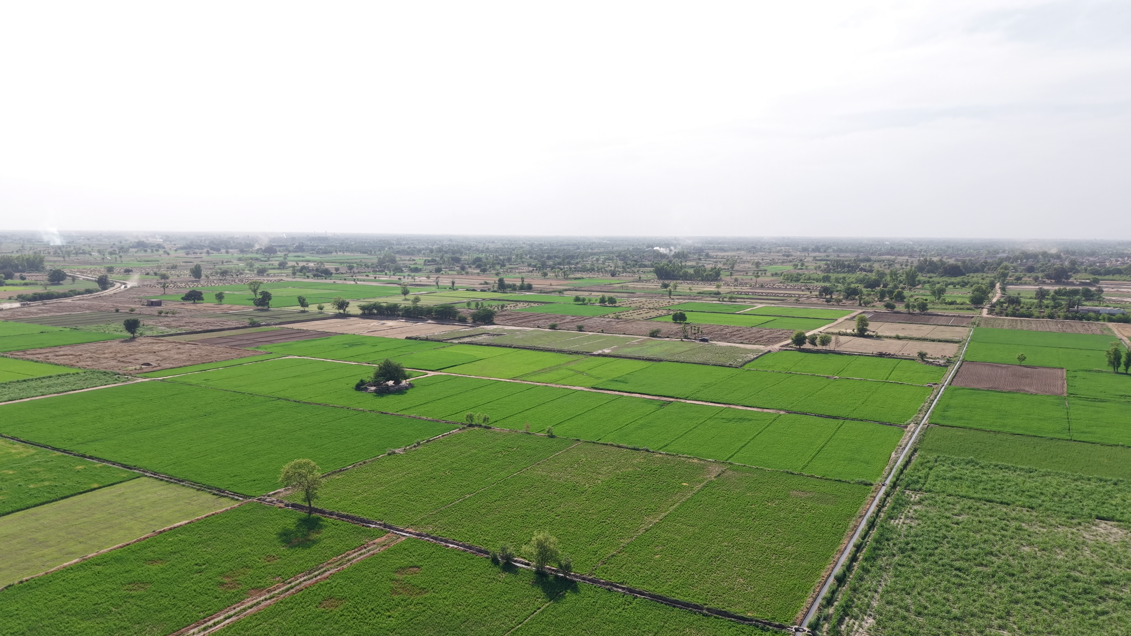 VIP 37 Acer  Land For Sale Near 56 R.B, District Faisalabad, Tehsil Jaranwala Punjab