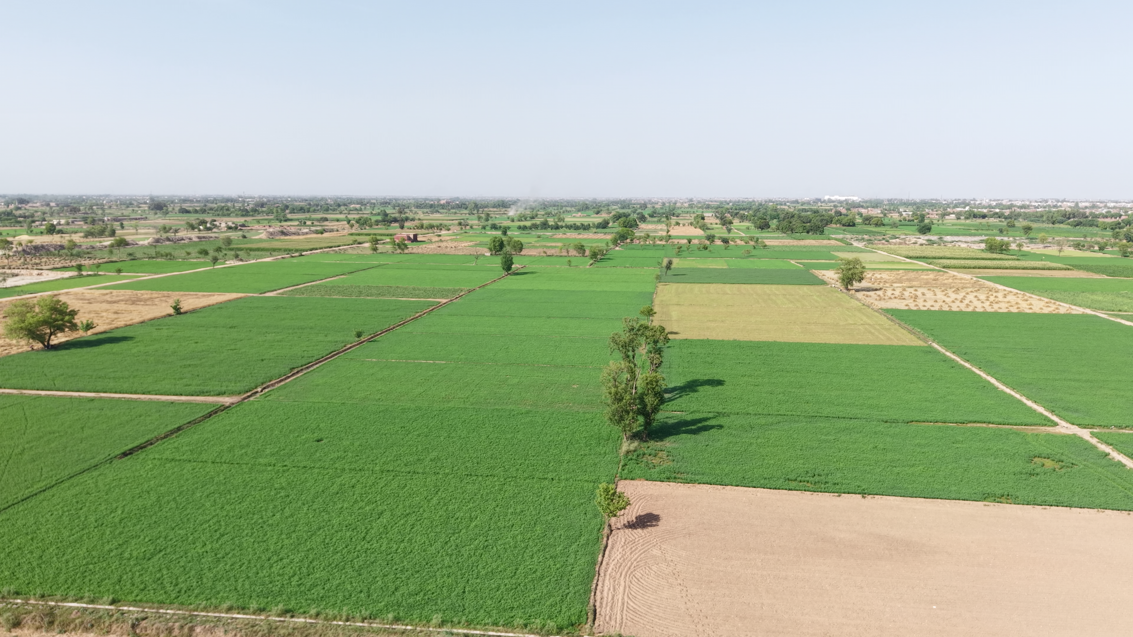 VIP 37 Acer  Land For Sale Near 56 R.B, District Faisalabad, Tehsil Jaranwala Punjab