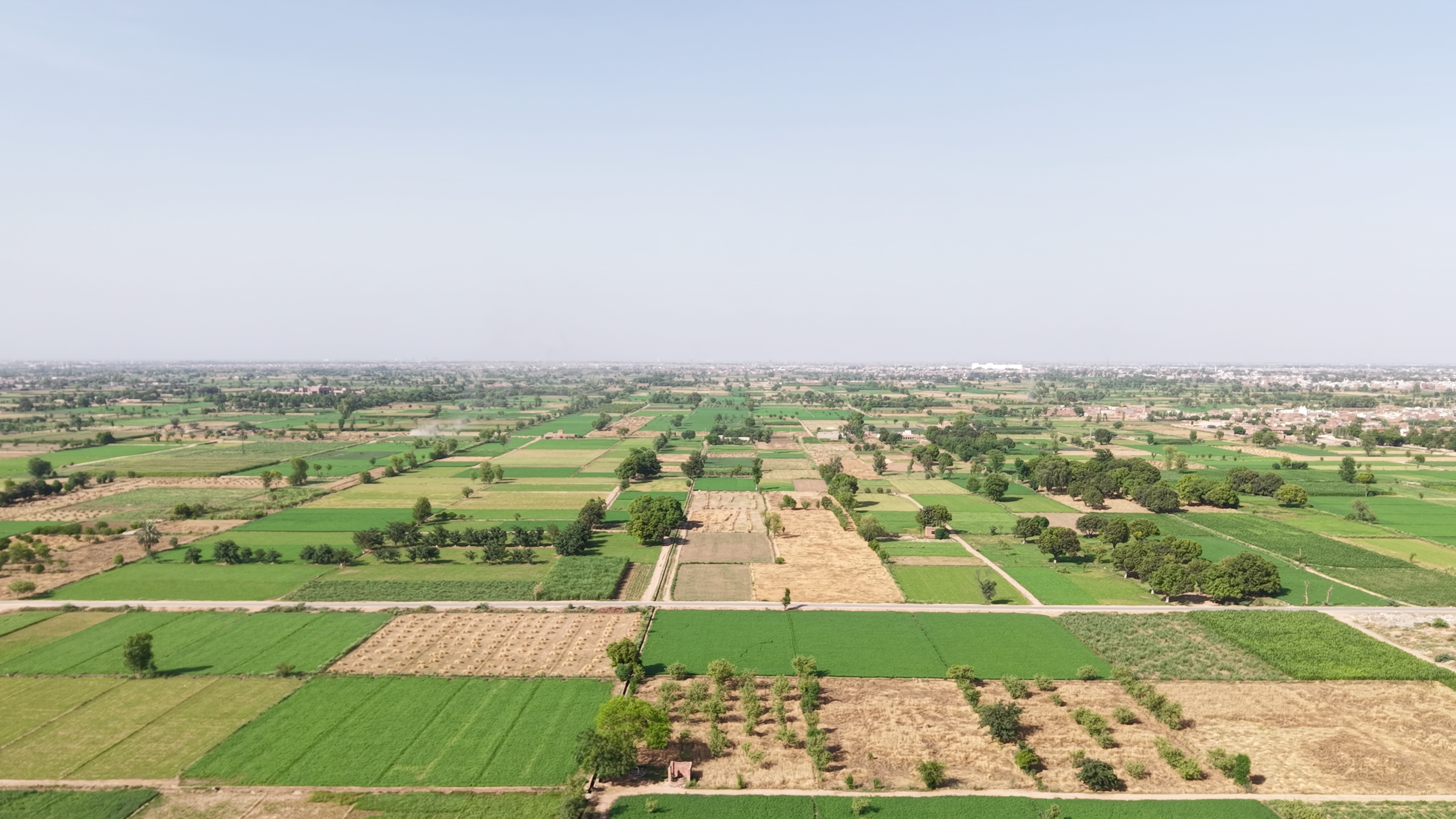 VIP 37 Acer  Land For Sale Near 56 R.B, District Faisalabad, Tehsil Jaranwala Punjab