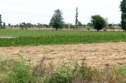 Vip 2 Murabay Agriculture Land for Sale Near Nalka Stop, Borewala area Faisalabad