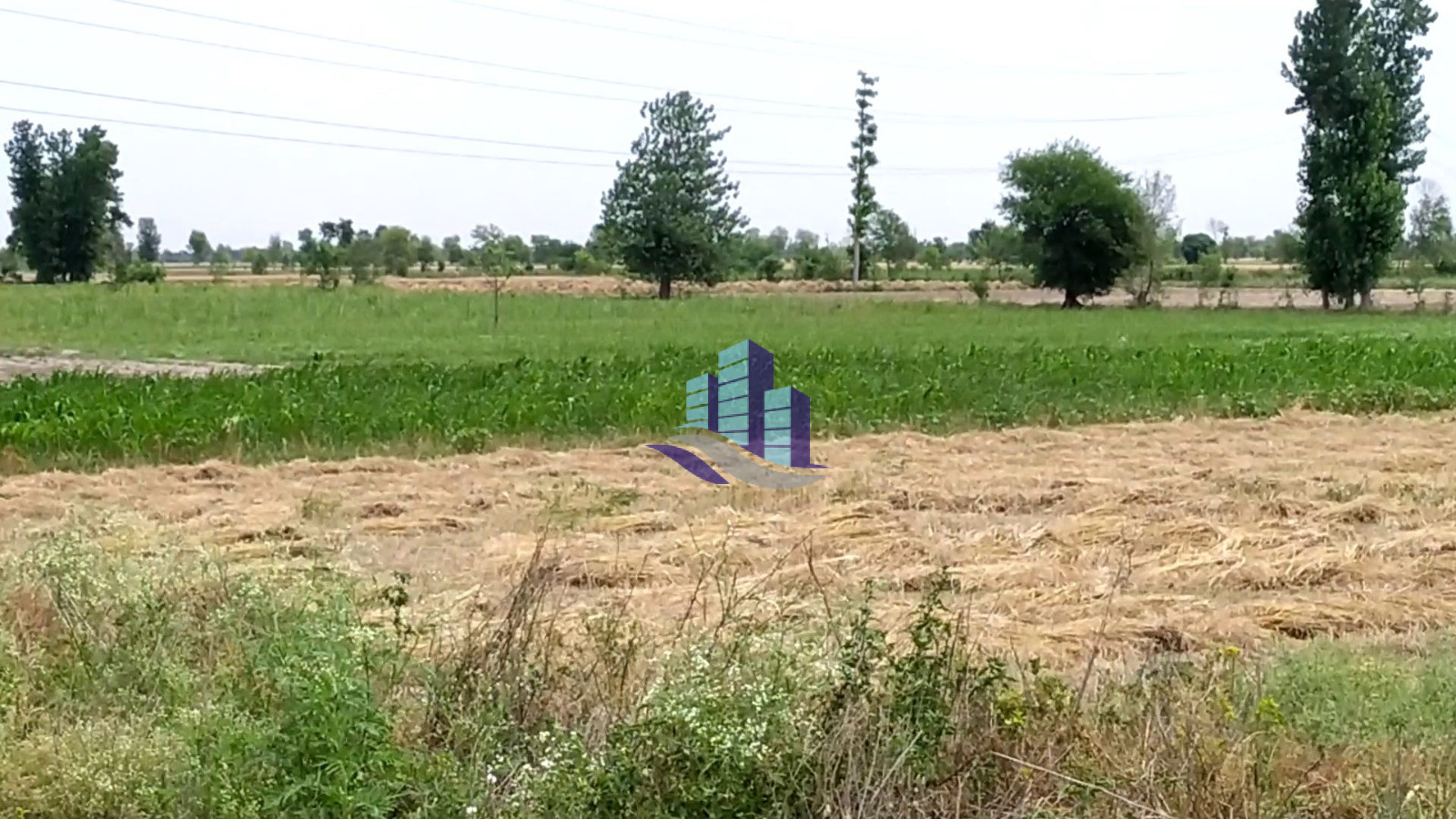 Vip 800 Kanal Fully Agriculture Land for Sale Best For Investment Near Gojra Motorway Interchange Faisalabad