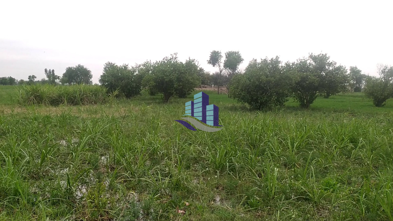 VIP 1 Muraba  Land For Sale Best For Investment at Nearby Chota Sahiwal On Satyana Road Faisalabad Punjab