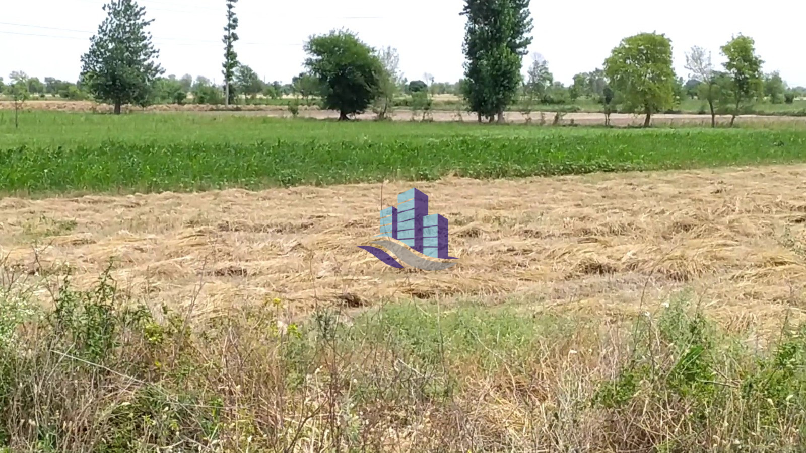 Ideal 25 Acre Fully Agriculture Land For SaleBest For Investment Near Jarranwala To Satiana Road Faisalabad