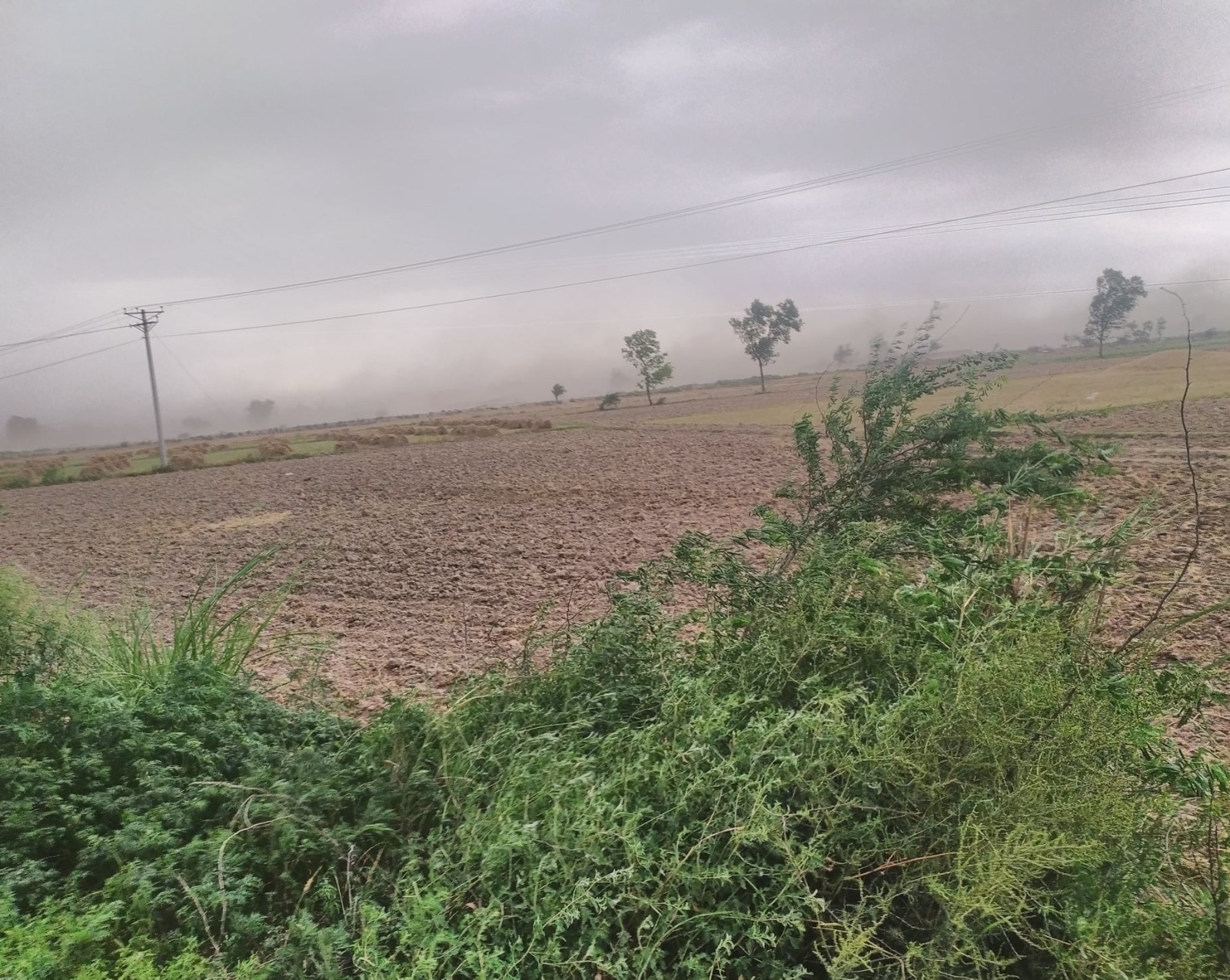 Premium 4 Acer Land For Sale For Near  Dsuah Gaon, Samundri Road, Faisalabad