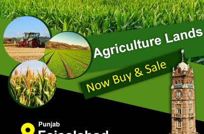 Premium 50 Acer Fully Agriculture Land For Sale Best For Investmentat Link Gojra to Faisalabad Road